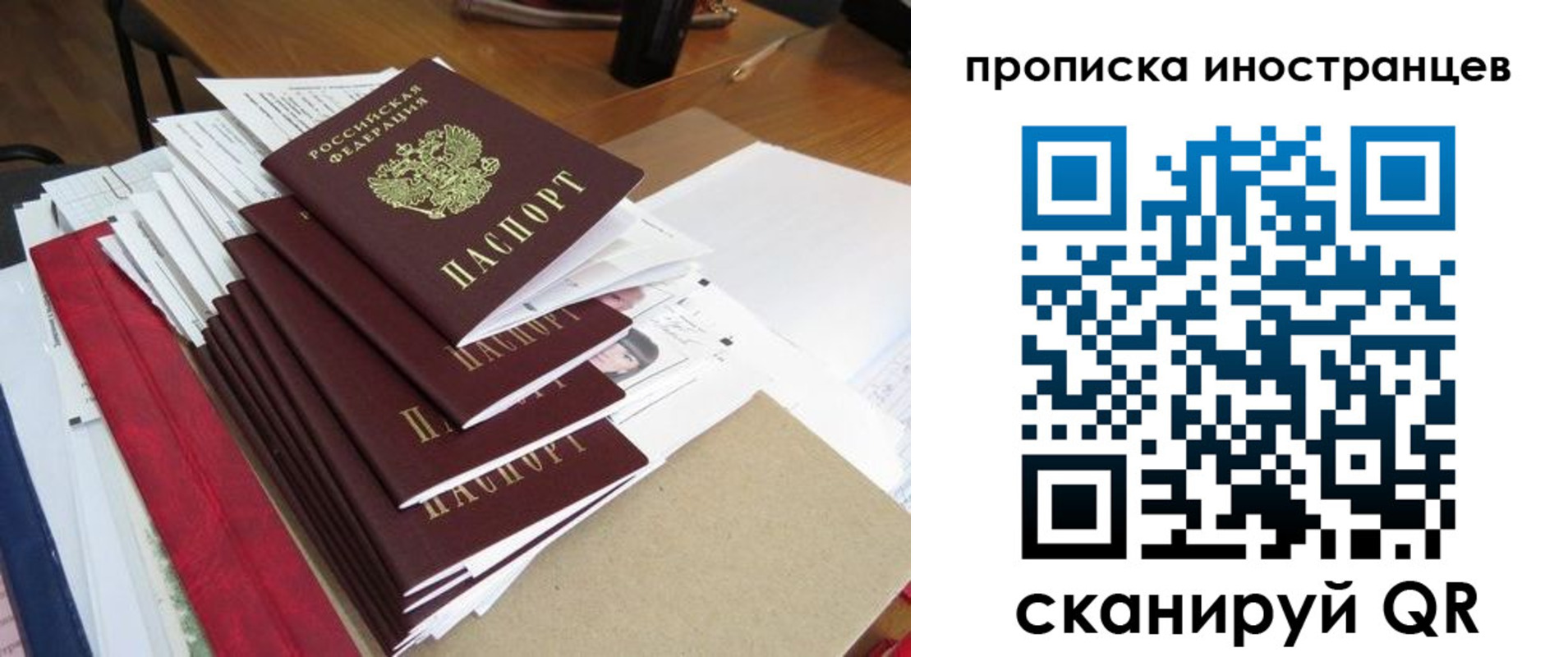 прописка для школы в Светлограде