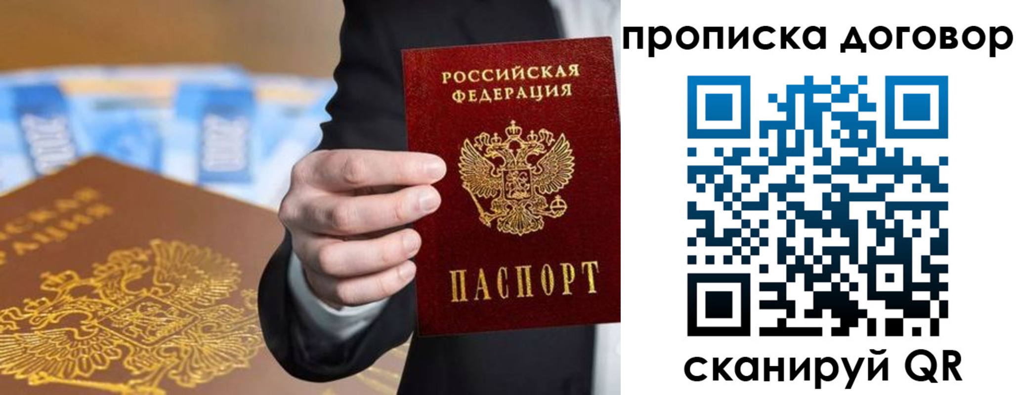 прописка гарантия в Светлограде